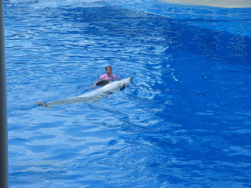 Dolphin trainer loves on the dolphin