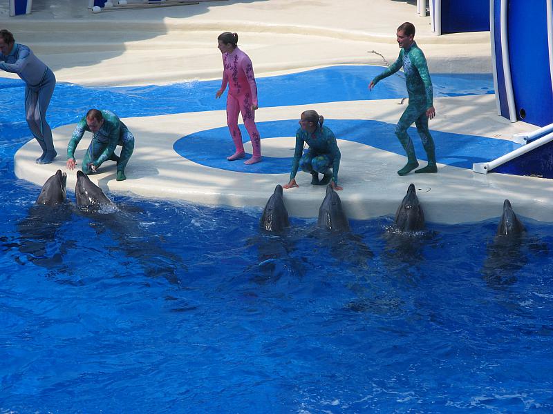 Everybody wants fed!