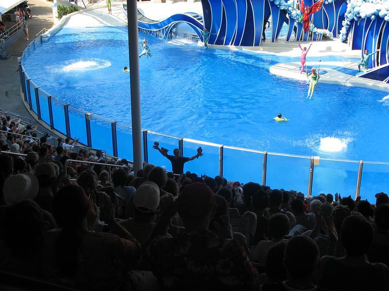 Bird trainer collects his friends