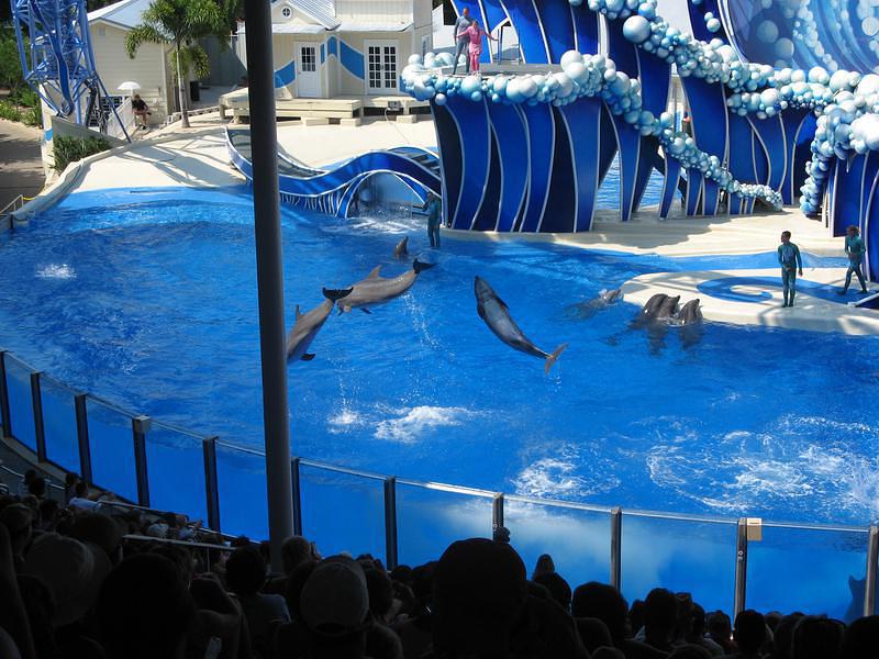 Everyone jumpin' for joy