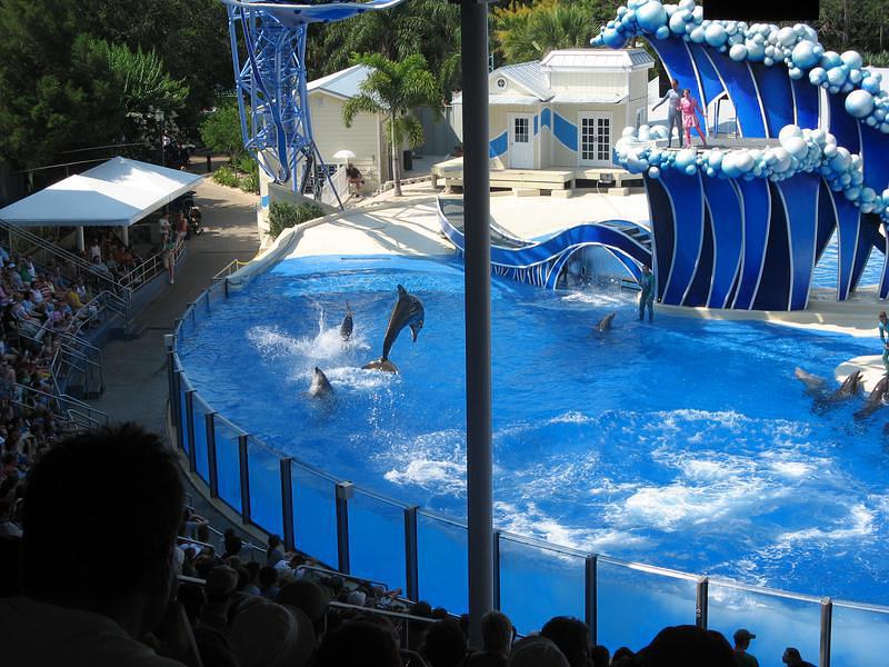 Jumpin' and splashin'