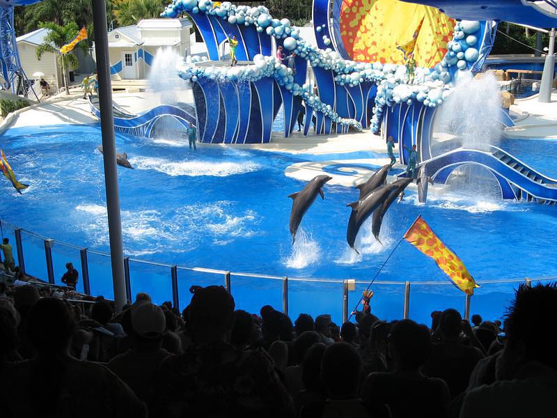 The finale -- dolphins jumping, birds flying, flags waving