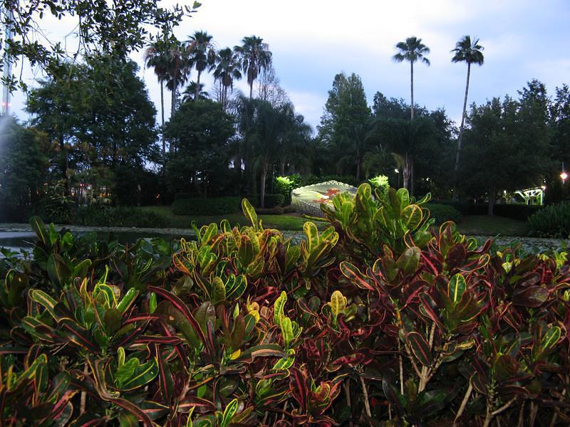 Grounds at Sea World were beautiful