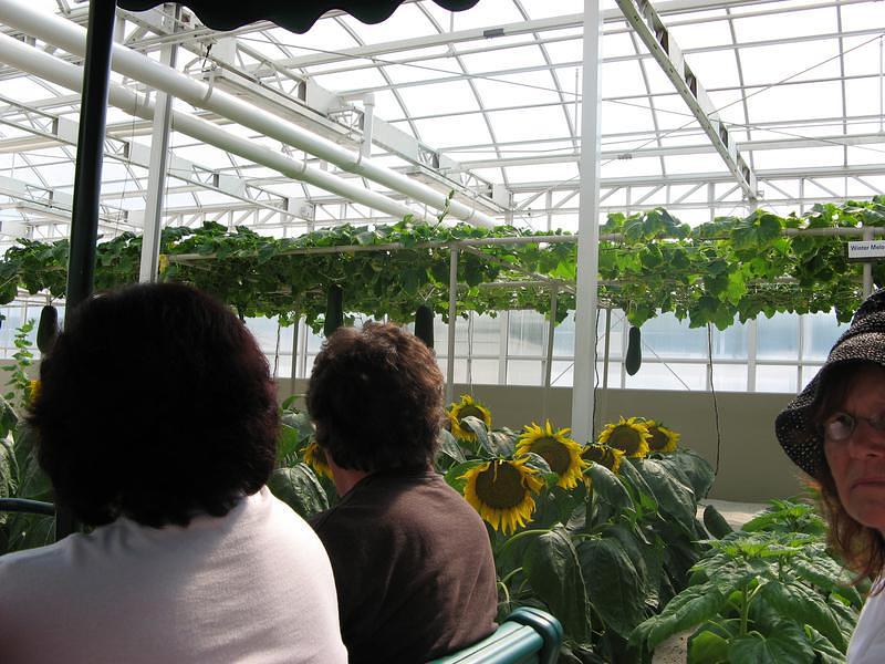 Botanical engineering exhibit