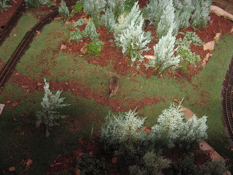 A wabbit plays in the model train display