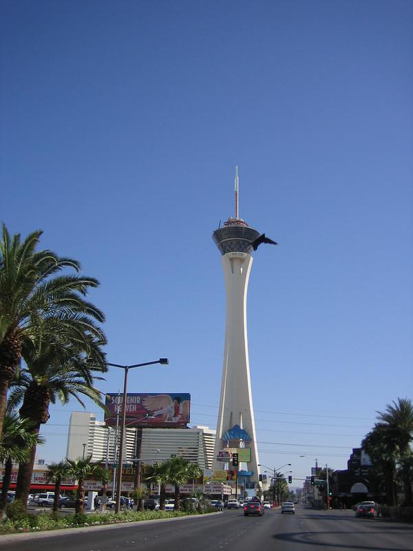 Stratosphere (& a bird)