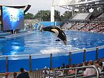 Sea World (6/8/2006)